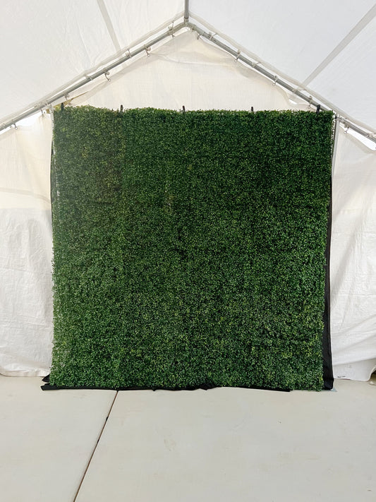 Hedge Greenery Wall Backdrop